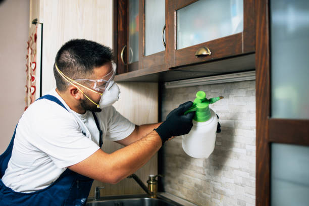 Best Pest Inspection Near Me  in Vander, NC