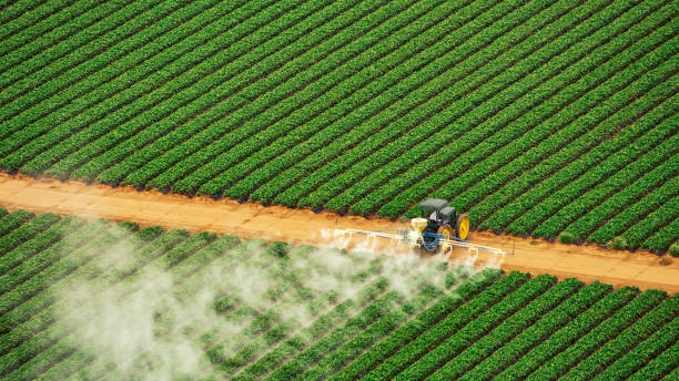 Best Pest Prevention Services  in Vander, NC