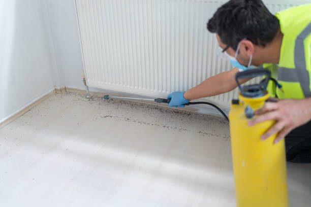 Best Exterminator Services  in Vander, NC